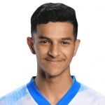 ن.السعدي