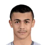 N. Al Omran
