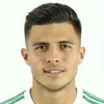 ج. نارفايز