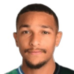 Z. Al Jari